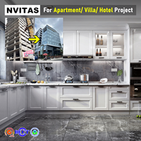 Ensemble de meubles de cuisine modulaires modernes NVITAS avec îlot en contreplaqué et bois massif, finition verre stratifié, pour projets hôteliers, appartements et villas