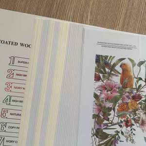 Papier offset sans bois de haute qualité FONWIN, blanc intense, 55 g/m², 58 g/m², 65 g/m², pour impression - Product Image 5