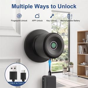 Tuya Smart Fingerprint <strong>Door</strong> Lock Polished Silvery Black Spherical Deadbolt Cylinder Ball Indoor <strong>Knob</strong> Durable Wood <strong>Door</strong> - Product Image 1