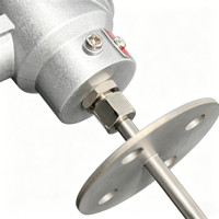 Industrial RTD PT100 Probe PF1/4 Anti-Loose Thread KSC+3P Ceramic Core 0-400℃ a Grade 60mm Flange IP66 Waterproof OEM Custom