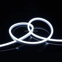 Tube Néon en Plastique Flexible Personnalisé Bande LED Diffuseur Carré Givré Encastré Silicone Service de Traitement Découpe
