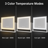 Espejo de Maquillaje Rectangular con Iluminación LED, 3 Colores, Táctil, Regulable, Recargable Tipo-C, Espejo de Vanidad para Transmisión en Vivo
