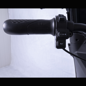 Triciclo Elettrico FGQ per Adulti a 3 Ruote con Cabina per Passeggeri - Product Image 6