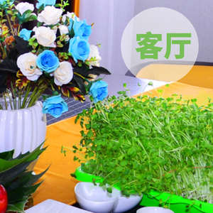 Plateau de semis pour la culture de germes de soja, plateau de germination pour la culture hydroponique de <span class=keywords><strong>l</strong></span>égumes, plateau de drainage pour la germination - Product Image 4