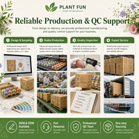 Kit de culture de Myosotis en gros avec bombe de semences et tablette de terreau pour boîte cadeau de jardinage e-commerce