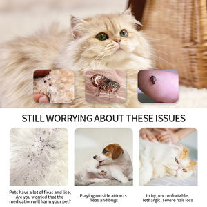 木製の密なペットのシラミの櫛猫の犬のノミとハンドル付きのダニ除去剤の櫛 - Product Image 5