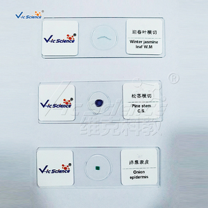 Juego de 8 Portaobjetos Preparados para Microscopio, para Botánica y Biología, Recursos Didácticos - Product Image 6
