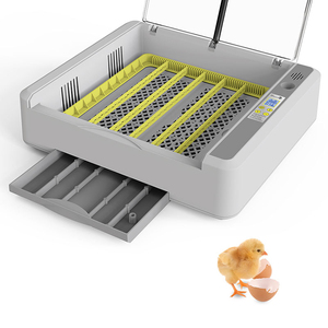 Incubateur à œufs <span class=keywords><strong>de</strong></span> poulet entièrement automatique Wonegg 110V 220V pour œufs <span class=keywords><strong>de</strong></span> <span class=keywords><strong>faisan</strong></span>, économie d'énergie pour une utilisation domestique, éclosion d'œufs - Product Image 2