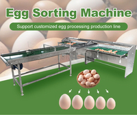 Laveuse et trieuse d'œufs en acier inoxydable pour volailles, canards, poulets, machine de lavage et de tri des coquilles d'œufs