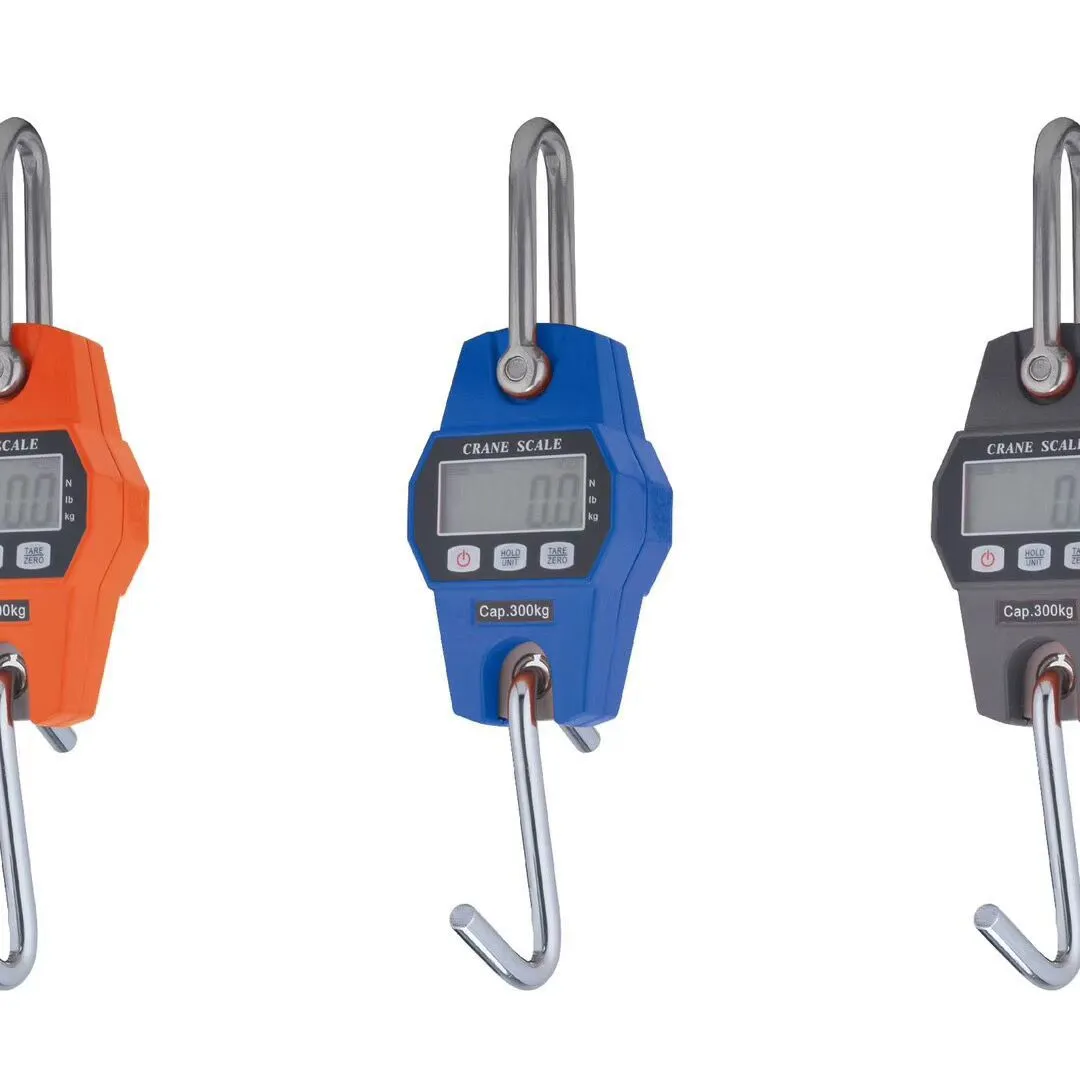 Electronic Crane Balance Precision Digital Hanging Scale Mini Weighing Crane Scale