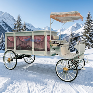 Élégante carrosse funéraire blanc personnalisé à vendre – Dernier modèle de carrosse à chevaux en métal et bois, style moderne - Product Image 1