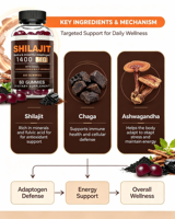 Bonbons gommeux antioxydants OEM Pure Shilajit pour soutenir l'énergie des adultes et soulager le stress - Complément alimentaire à base de plantes pour l'immunité et l'éclat de la peau