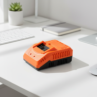 Chargeur de batterie 21V 2A pour outils électriques avec lumière LED, fournisseur chinois, accessoire pour batterie au lithium