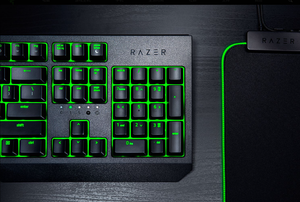 BlackWidow Essential Green avec rétroéclairage LED, clavier standard 104 touches pleine taille - Product Image 3