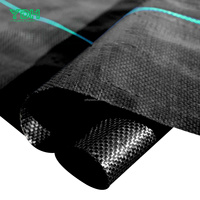 Tissu de couverture de sol en PP noir de haute qualité pour le contrôle des mauvaises herbes, barrière contre les mauvaises herbes, tissage, rouleau pour jardin, serre
