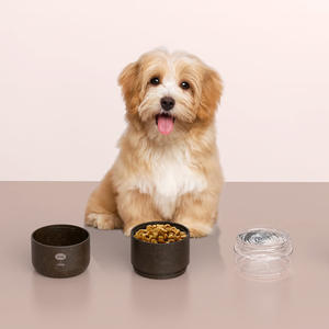 Ücretsiz örnek Pet köpek su şişesi tek duvar kahve telvesi vakum taşınabilir Pet gıda depolama stokta - Product Image 1