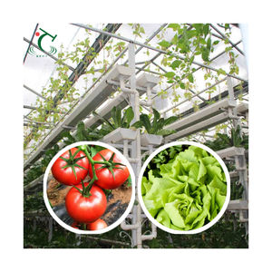 Système aquaponique écologique Film de serre <span class=keywords><strong>Étang</strong></span> à poissons Serre commerciale Serre pour la culture de légumes et de poissons - Product Image 6