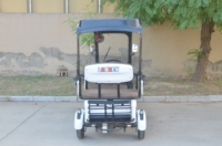 Quadricycle électrique à quatre roues économique, multicolores en option, pour passagers et marchandises, 650W, contrôleur à 15 tubes