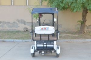 Cuatriciclo Eléctrico de Cuatro Ruedas, Multicolor Opcional, para Pasajeros y Carga, Económico, 650W, Controlador de 15 Tubos - Product Image 6