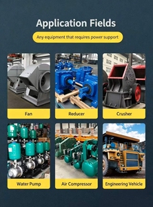 Fournisseur de moteurs électriques industriels, série YEH-250, IE2, 55KW, 380V, 50HZ, moteur à induction pour machine à bâches - Product Image 5