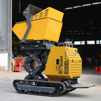 Direkt ab Werk: 1000kg Mini-Raupenlader – Chinas effizienter Diesel-Hydraulik-Dumper für den Heimgebrauch mit Motor und Pumpe