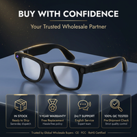 Gafas inteligentes AI Assistant Voice Call Music Player para protección solar Cómodo uso ANC/ENC Cancelación de ruido