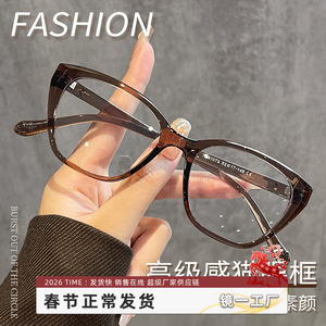 กรอบแว่นตา Danyang Cat Eye TR90 ขนาด 52 มม. สำหรับผู้หญิง ทรงโอเวอร์ไซส์ สไตล์เรโทร ดีไซน์หรูหรา รุ่น 81073 เลนส์พลาสติก - Product Image 3