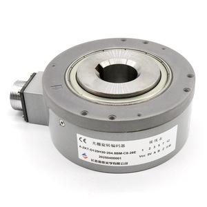 Changchun Yuheng ตัวเข้ารหัสโรตารี่โฟโตอิเล็กทริกแบบเพิ่มความยาว A-ZKT-D120H30-204.8BM-C8-26E มุมขวาของเลนส์ - Product Image 1