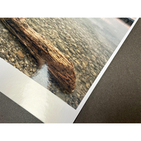 Rouleau de papier photo métallique 260g, revêtement en résine, argent brillant, support d'impression jet d'encre 24 pouces pour EPSON CANON HP