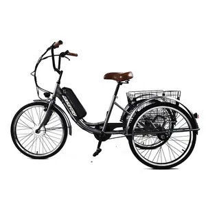 24 inç kargo elektrikli bisiklet 36V 250W elektrikli bisiklet