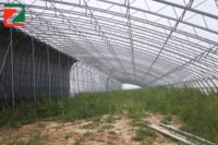 Serre de type tunnel de la marque ZHUOTAI avec couverture en film et système de ventilation pour la culture des fraises et autres légumes