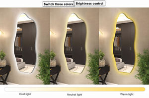 Vente en gros de miroirs de corps entier rétroéclairés multifonctionnels sans cadre de forme irrégulière à fixer au mur pour salles de bain et salons - Product Image 6