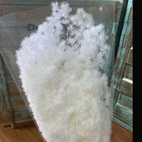 Décoration Florale Éternelle 150g : Fougère, Asperge Myriocladus, Pin pour Composition Florale Saint-Valentin et Remise de Diplôme