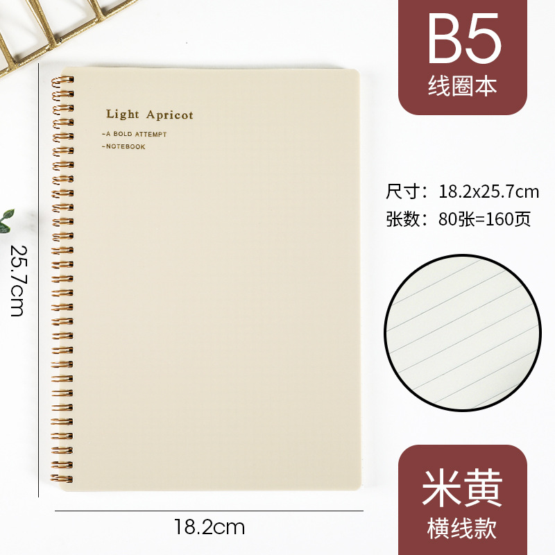 B5สีขาว