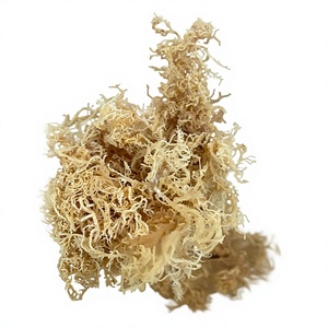 Exportateur en gros premium d'algues marines séchées brutes (Eucema cottonii) - Algues marines sauvages du Vietnam / Mme Lima - Product Image 1