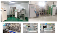 Ligne de production automatique de remplissage d'eau riche en hydrogène, équipement d'eau fonctionnelle en conserve et en sachets, usine d'eau à haute productivité