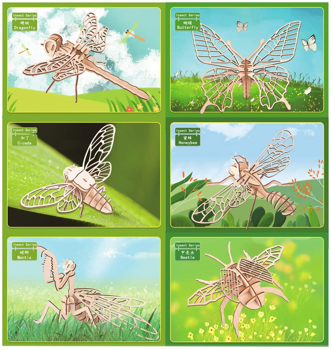 水生昆虫ファイル ①〜③セット 水生昆虫ファイル (1) | 刈田 敏 |本 | 通販 | Amazon