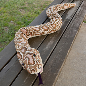 Peluche <span class=keywords><strong>de</strong></span> Serpiente Realista, Juguete <span class=keywords><strong>de</strong></span> Peluche Suave - Product Image 3
