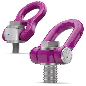 Anneau de levage de type D Rud Hoist, capacité de levage de 10 tonnes, pour opérations d'entretien industriel - Product Image 4