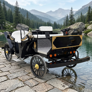 Carruaje Eléctrico de Lujo Estilo Europeo para Paseos Turísticos en Parques al Aire Libre, Carruaje de Princesa para Bodas en Venta - Product Image 1