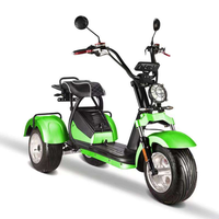Tricycle électrique puissant Loyal 4000W, moteur performant, flexible, de haute qualité, scooter électrique à 3 roues