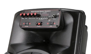 Altavoces TS1282 de 12 pulgadas Retro <span class=keywords><strong>Boombox</strong></span> Caixa De Som Powered Subwoofer Altavoz de Karaoke portátil para exteriores con micrófono y Bluetooth - Product Image 5