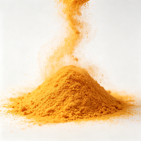 Poudre de Riboflavine (Vitamine B2) de Qualité Alimentaire CAS 83-88-5 en Vrac