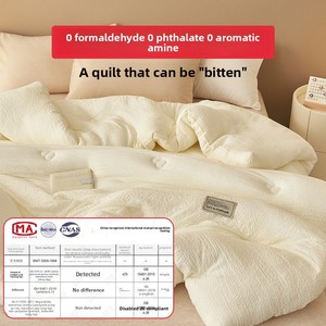 Piumino in Fibra di Soia e Poliestere Antibatterico a Doppio Strato, Imbottitura Spessa Invernale per Dormitori Studenteschi Primavera/Autunno - Product Image 2