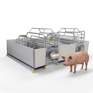 Equipo de Alta Calidad para Cría de Cerdos, Jaula/Corral/Caja de Parto para Cerdos - Product Image 1