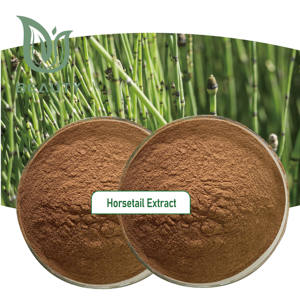 Poudre d'extrait de prêle en silice 80% organique Supplément à base de plantes de haute pureté pour les soins de la peau Sac de pièces de feuilles d'herbes de qualité alimentaire - Product Image 3