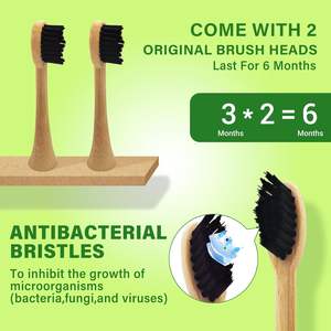 Meilleur prix Brosse à dents intelligente imperméable certifiée CE OEM ODM Brosse à dents électrique sonique - Product Image 3