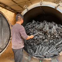 Horno de carbón de alta capacidad, diseño de ahorro de energía, horno de carbón de madera, máquina para hacer carbón biológico con Ce Iso