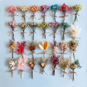 Offre Spéciale Mini <span class=keywords><strong>Bouquet</strong></span> de Fleurs Séchées pour Boîte Cadeau, Vraies Fleurs Conservées Gypsophile - Product Image 1