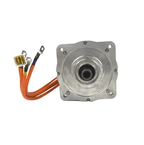 Continous Current 52A Low Rpm High Torque Electric Car Wheel Conversion Kit Brushless Dc Gear Motor